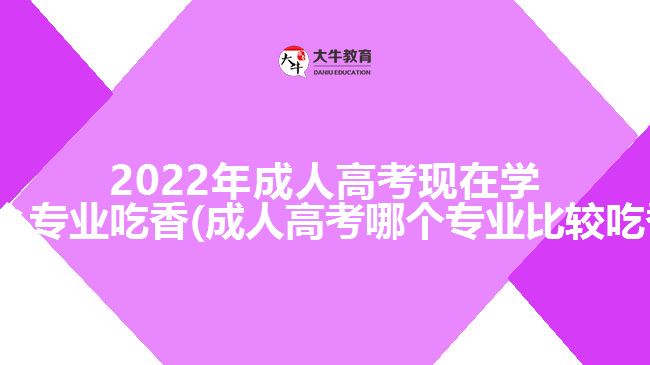 202成人高考现在学什么专业吃香(成人高考哪个专业比较吃香)