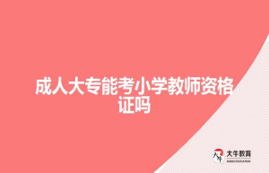 成人大专能考小学教师资格证吗