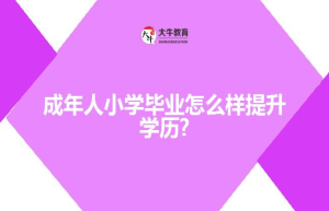 成年人小学毕业怎么样提升学历?