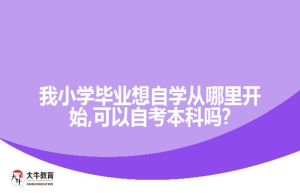 我小学毕业想自学从哪里开始,可以自考本科吗?