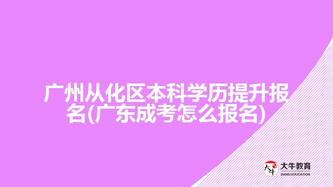 广州从化区本科学历提升报名(广东成考怎么报名)