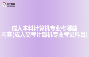 成人本科计算机专业考哪些内容(成人高考计算机专业考试科目)