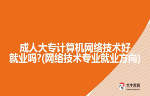 成人大专计算机网络技术好就业吗?(网络技术专业就业方向)