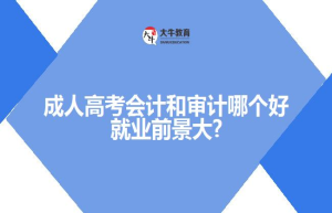 成人高考会计和审计哪个好就业前景大?