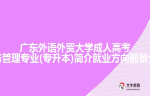 广东外语外贸大学成人高考财务管理专业(专升本)简介就业方向前景介绍