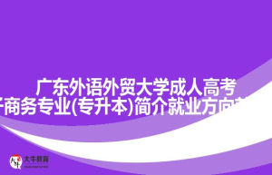 广东外语外贸大学成人高考电子商务专业(专升本)简介就业方向前景介绍