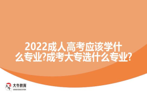 2022成人高考应该学什么专业?成考大专选什么专业?