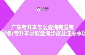 广东专升本怎么查询有没有被录取(专升本录取查询步骤及注意事项)