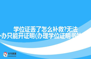 学位证丢了怎么补救?无法补办只能开证明(办理学位证明书的流程)