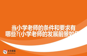 当小学老师的条件和要求有哪些?(小学老师的发展前景如何)