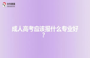成人高考应该报什么专业好？