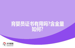 电子商务专升本难吗?条件有哪些?