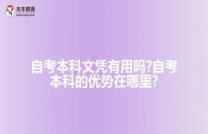 自考本科文凭有用吗?自考本科的优势在哪里?