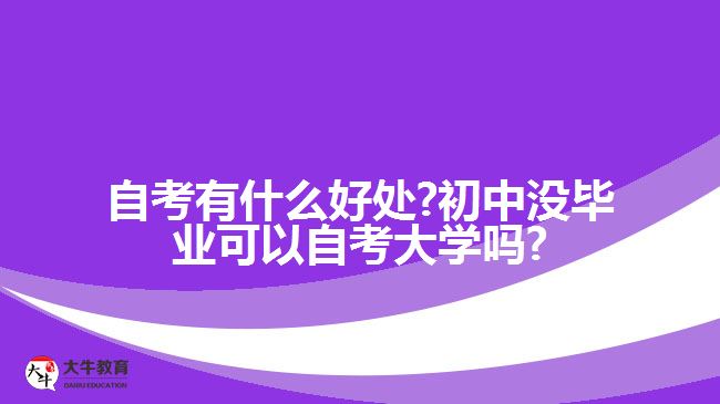 自考有什么好处?初中没毕业可以自考大学吗?