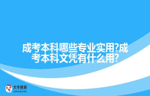 成考本科哪些专业实用?成考本科文凭有什么用?