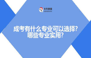 成考有什么专业可以选择?哪些专业实用?