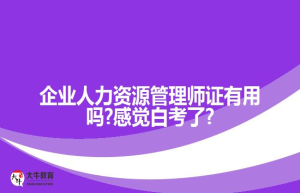 企业人力资源管理师证有用吗?感觉白考了?