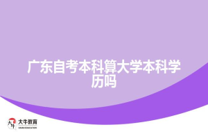 广东自考本科算大学本科学历吗