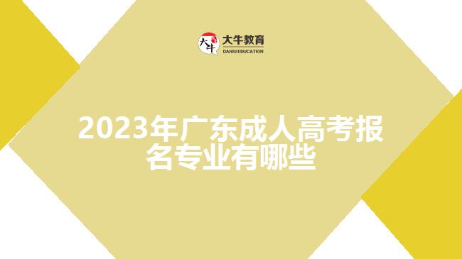 2023年广东成人高考报名专业有哪些
