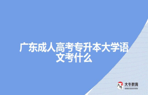 参加教师资格证笔试需要准备哪些东西